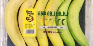 The one-a-day banana pack from Best Korea