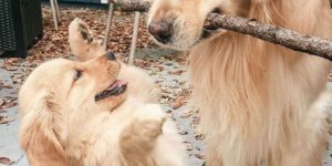 Aspiring branch manager.