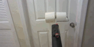 Toilet Paper + Leaf Blower = Awesome.