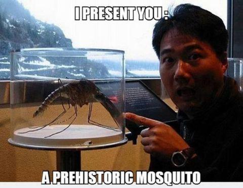 A Prehistoric Mosquito