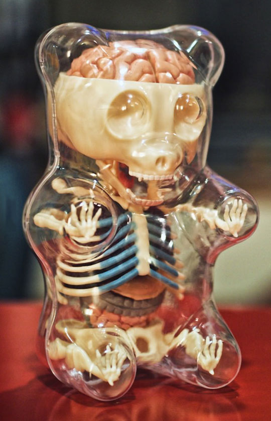 Anatomy of a gummy bear.