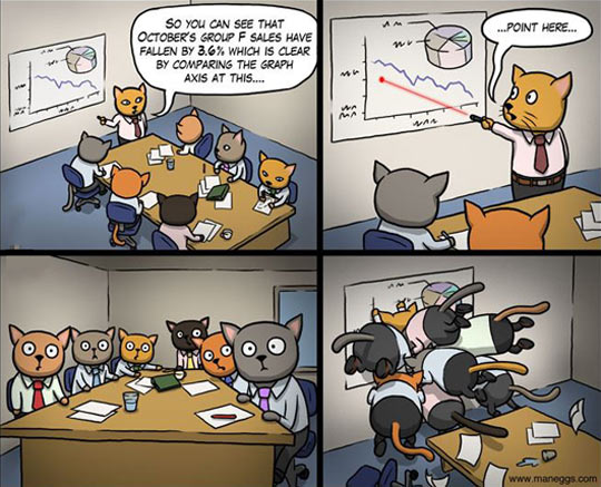Cats suck at business.