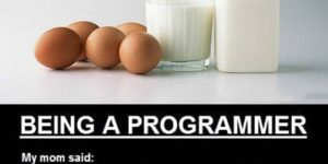 Being a programmer.