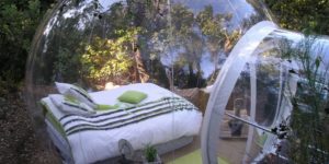 Would you sleep in this? Bubble Bed Surrounded by Nature