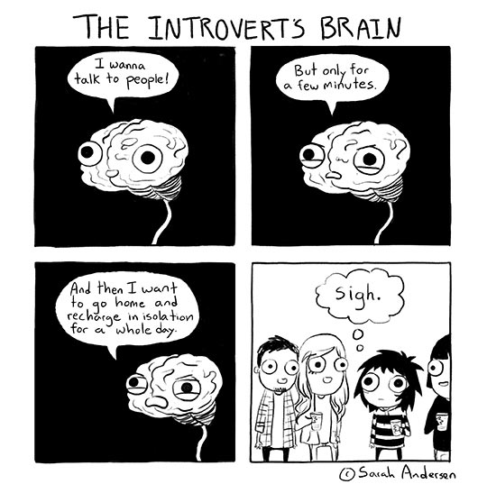 The introverts brain