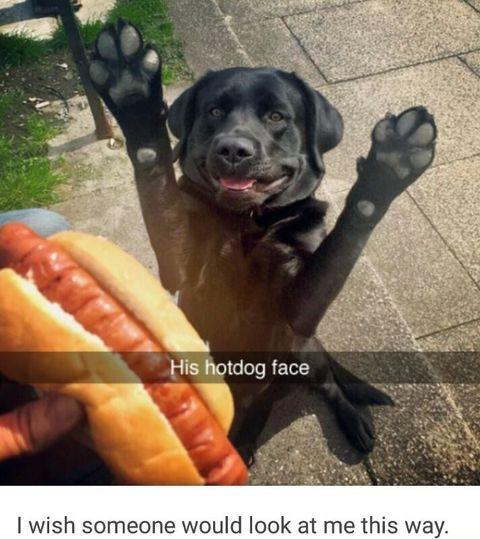 Hot dog