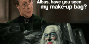 Albus, have you seen my make-up bag?