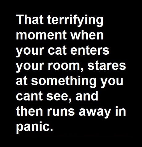 That terrifying moment...