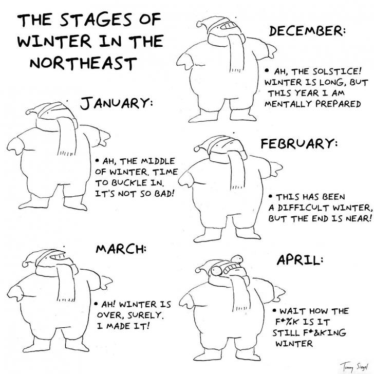 The Stages of Winter in the Northeast