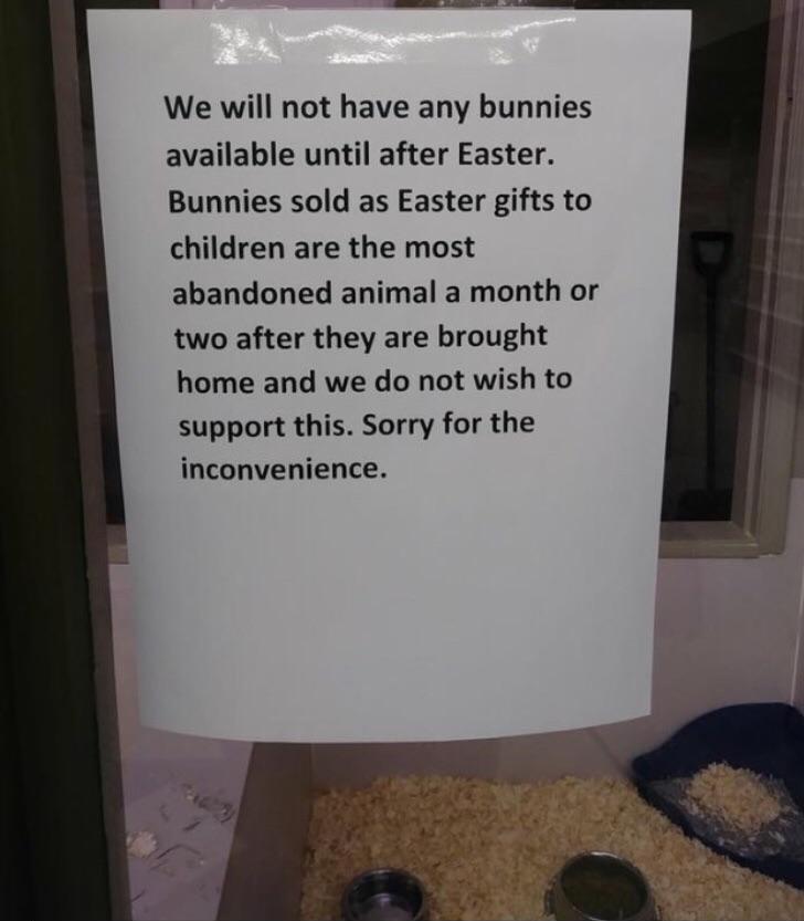 This pet store is doing bunnies a solid.