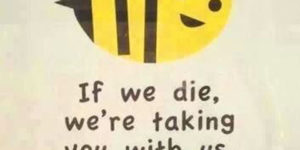 Save the bees.