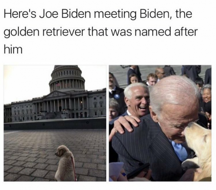 Biden/Biden 2020