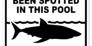 Sharks have been spotted in this pool.