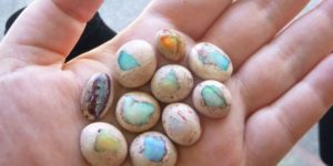 Opals that look like mini hatching dragon eggs.