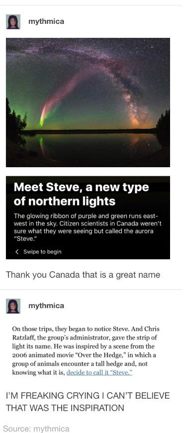 Steve. A Canadian light show.