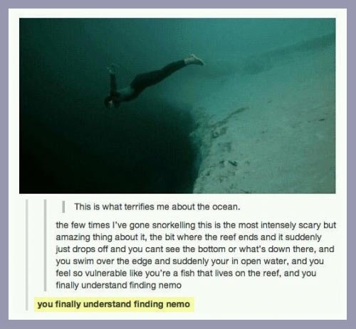 I finally understand Finding Nemo.