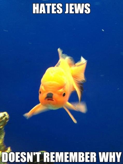 Hitler goldfish.