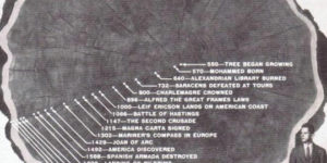 History in a tree.