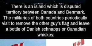 Danish vs Canadian