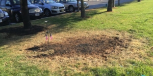 An American Veteran committed suicide recently by setting himself on fire in front of his local Veterans Affairs building in New Jersey.