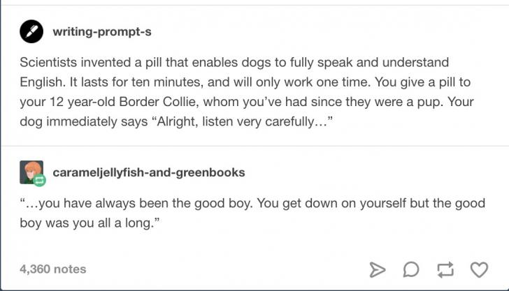 Scientists invented a pill that enables dogs to fully speak and understand english