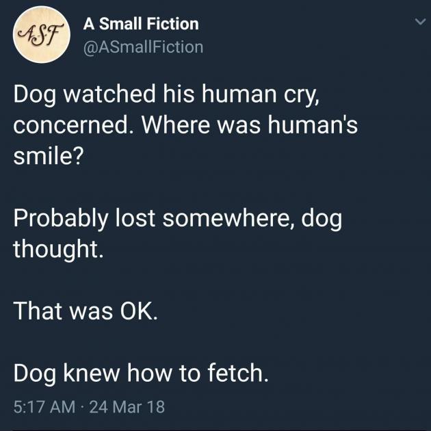 Dogs are wholesome