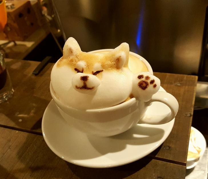 Such Latte