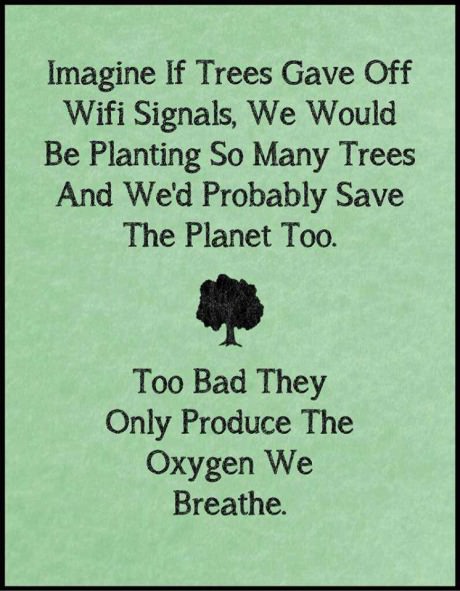 Imagine if trees gave off WIFI