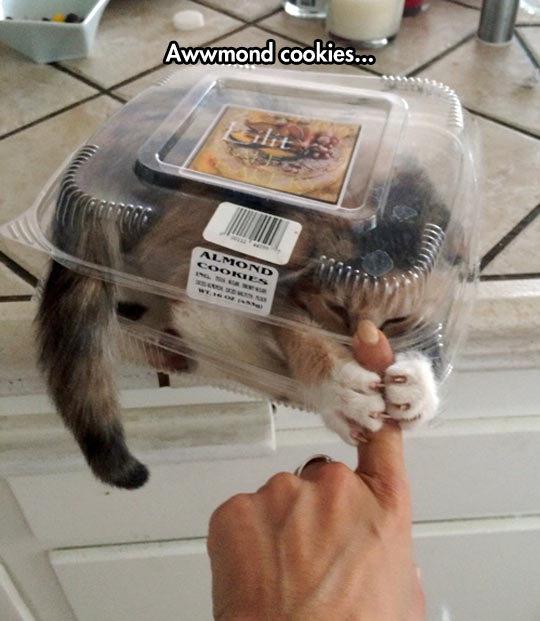 Awwwmond cookies