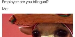 Are you bilingual too?