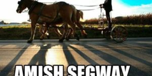 Amish Segway.