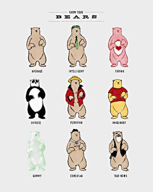 Know your bears.