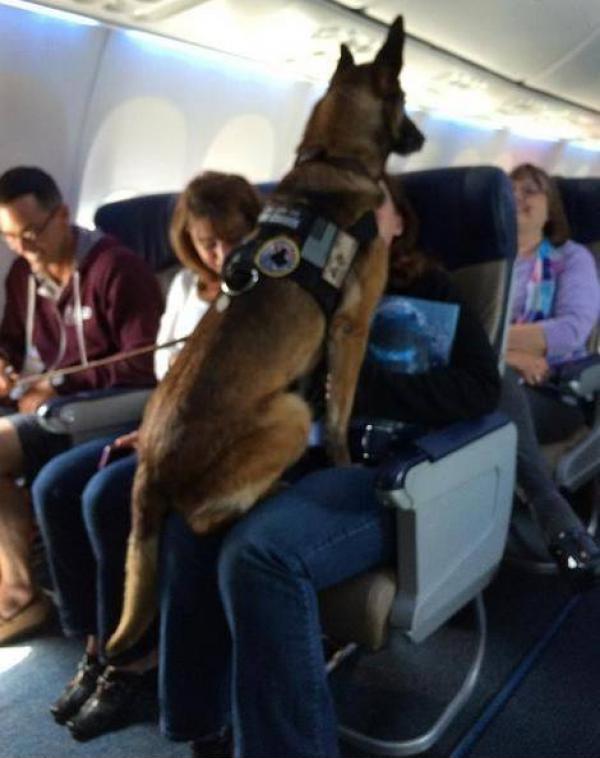 Flight attendant made an announcement to congratulate her on her 12 year career with the US Marines. The cabin erupted into applause.