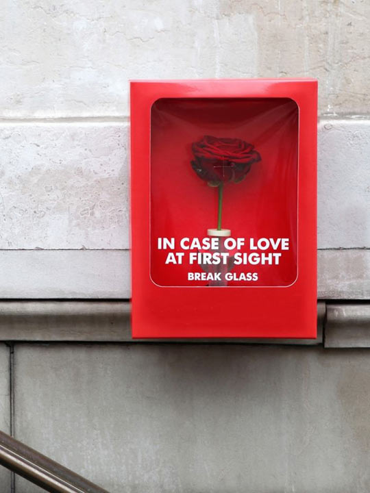 In case of love at first sight.