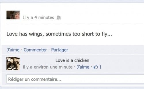 Love is a chicken.