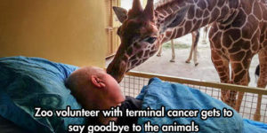 Zoo volunteers last goodbye.