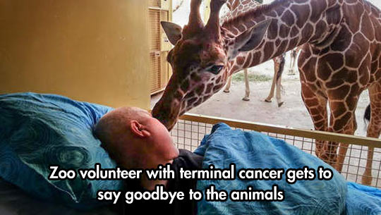 Zoo volunteers last goodbye.