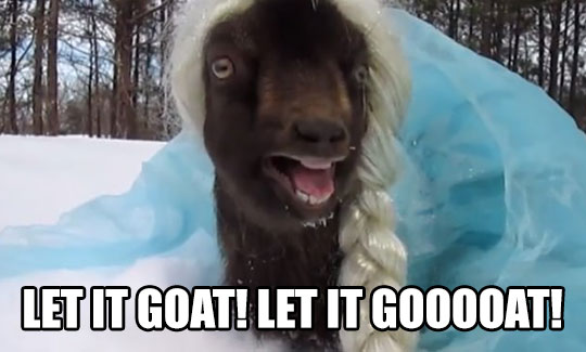 Let it goat!