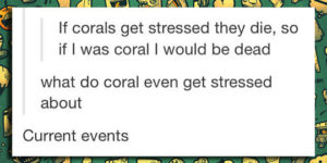 If corals get stressed, they die.