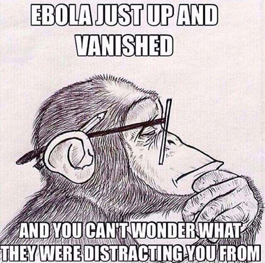 Where did Ebola end up?