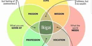 Ikigai is life.