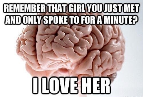 Scumbag brain.