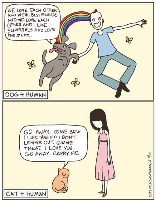 Cats vs dogs.