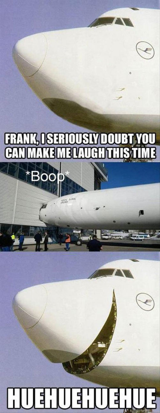Just Plane Jokes