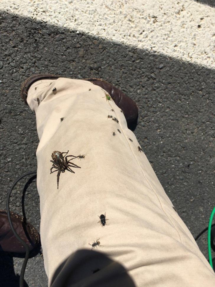 Journalist's leg during live coverage of floods in Australia