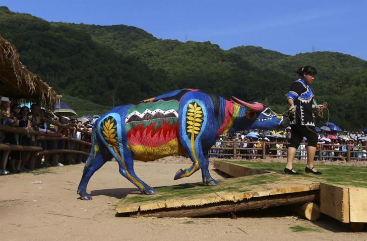 Buffalo Bodypainting Competition