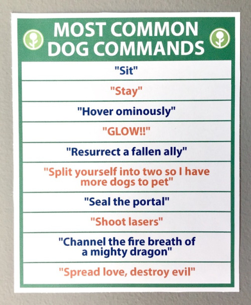 Pupper commands