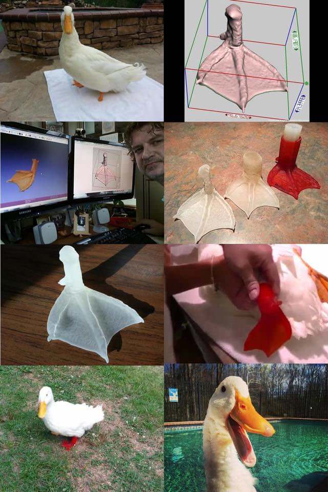 Prosthetic leg solution for a lucky duck