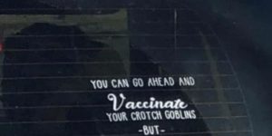 This is my favourite anti-vac-van art.