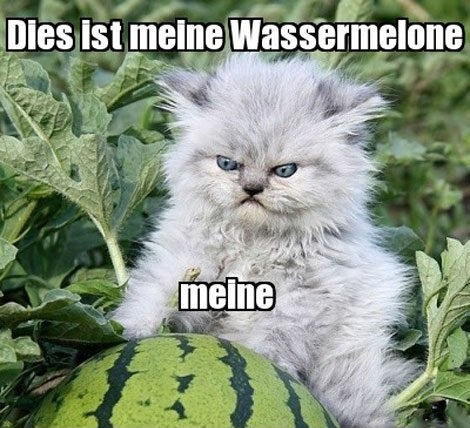 Meine wassermelone.